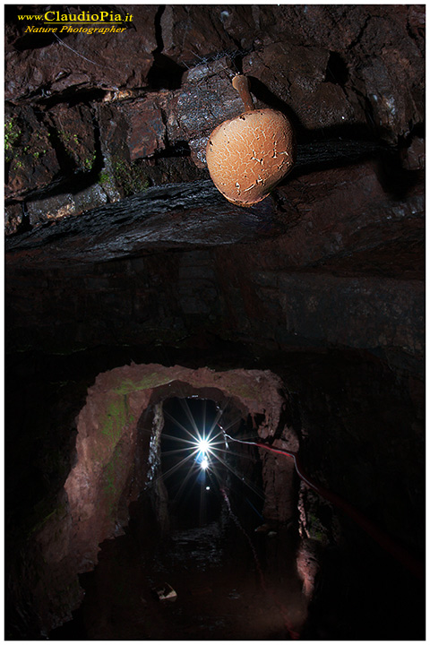  mine, cave, miniera, underground, photography, nature photographer